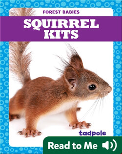 Squirrel Kits