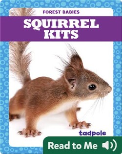 Squirrel Kits
