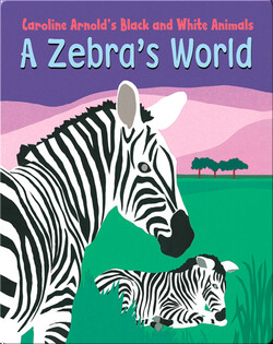 A Zebra's World