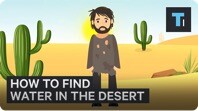 How To Find Water If You're Ever Stuck In A Desert