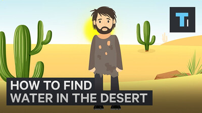 How To Find Water If You're Ever Stuck In A Desert