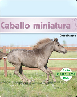 Caballo miniatura