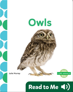 Owls