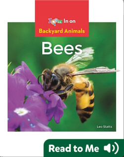 Bees