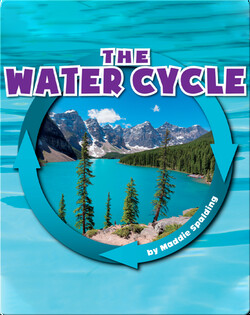 The Water Cycle