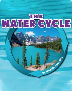 The Water Cycle
