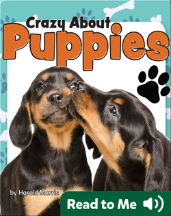 Crazy About Puppies