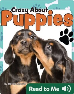 Crazy About Puppies