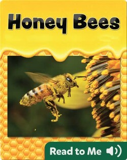 Honey Bees