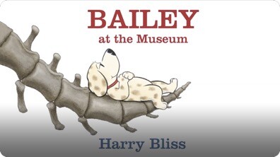 Bailey at the Museum