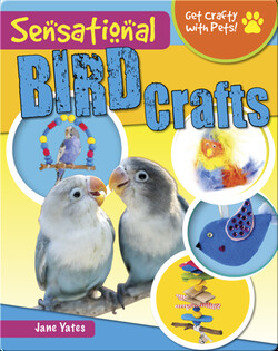 Sensational Bird Crafts