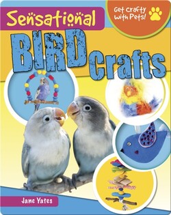 Sensational Bird Crafts