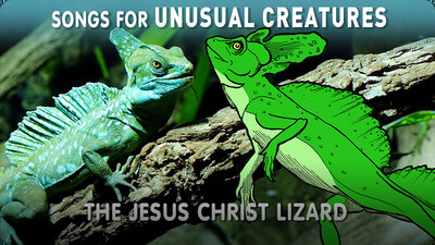 Songs for Unusual Creatures: The Jesus Christ Lizard