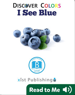 Discover Colors: I See Blue