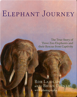 Elephant Journey