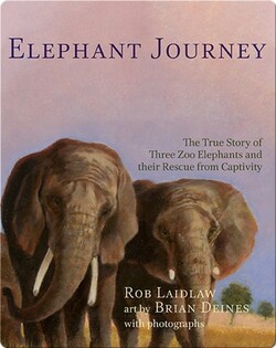Elephant Journey