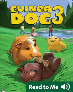 Guinea Dog 3