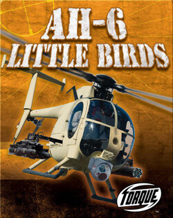 AH-6 Little Birds