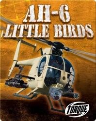AH-6 Little Birds