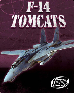 F-14 Tomcats