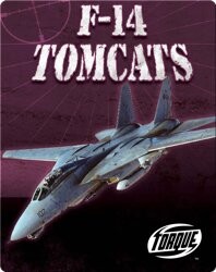 F-14 Tomcats
