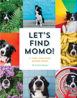 Let's Find Momo!