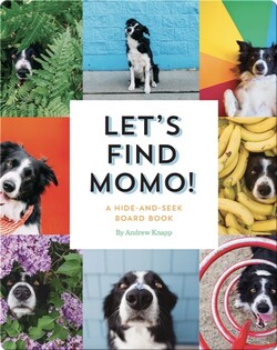 Let's Find Momo!