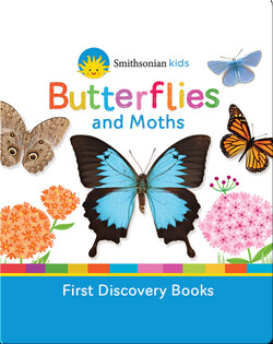 Butterflies and Moths