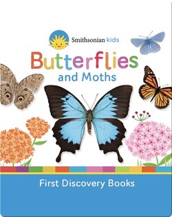 Butterflies and Moths