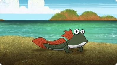 I’m A Mudskipper