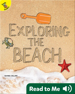 Exploring the Beach