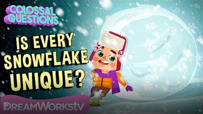 Is Every Snowflake Unique? | COLOSSAL QUESTIONS