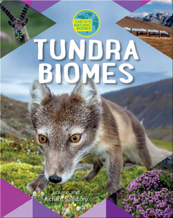 Tundra Biomes