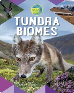 Tundra Biomes