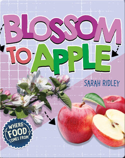 Where Food Comes From: Blossom to Apple