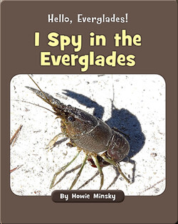Hello, Everglades!: I Spy in the Everglades