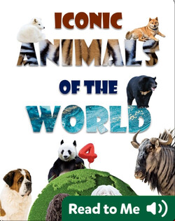 Iconic Animals of the World 4