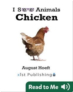 I See Animals: Chicken