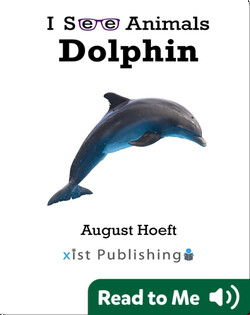 I See Animals: Dolphin
