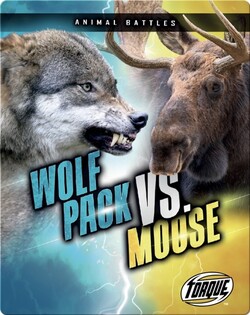 Animal Battles: Wolf Pack vs. Moose