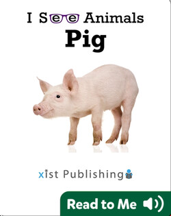 I See Animals: Pig