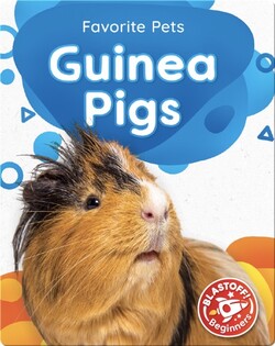 Favorite Pets: Guinea Pigs
