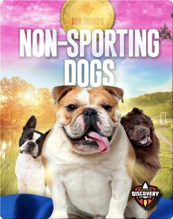 Dog Groups: Non-sporting Dogs