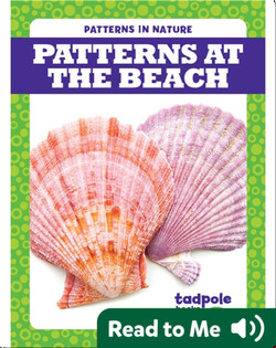 Patterns at the Beach