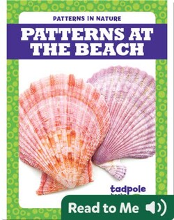 Patterns at the Beach