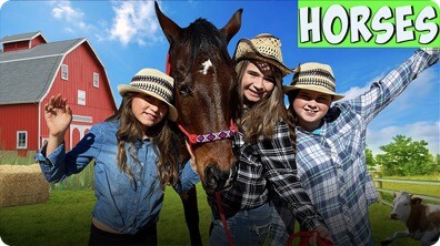 The Wild Adventure Girls: Horses