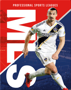 Professional Sports Leagues: MLS