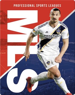Professional Sports Leagues: MLS