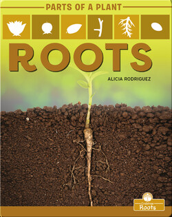 Parts of a Plant: Roots