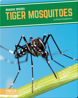 Invasive Species: Tiger Mosquitoes